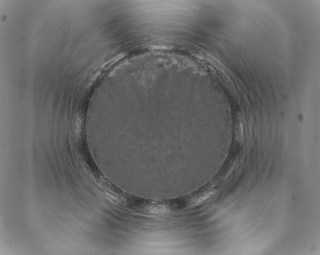 X0000088590604200706081329