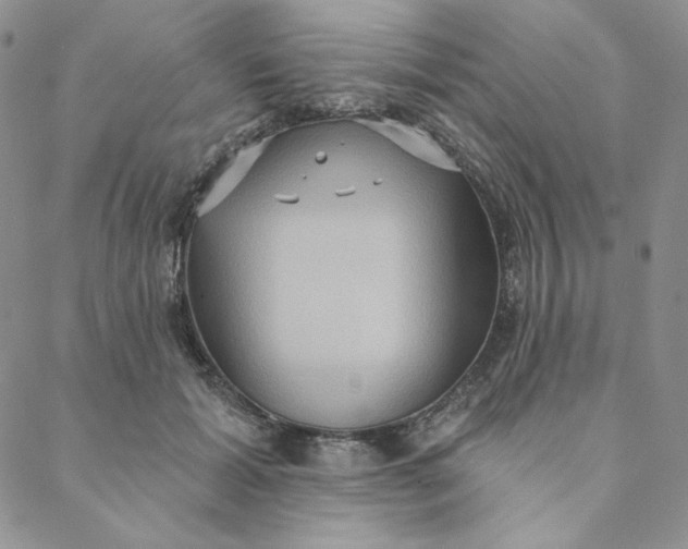 X0000088590605200706081329