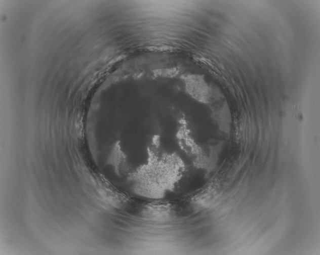 X0000088590606200706081329