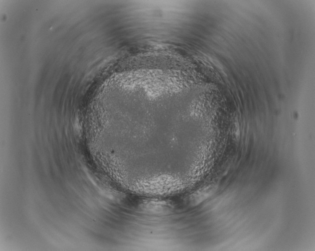 X0000088590607200706081329