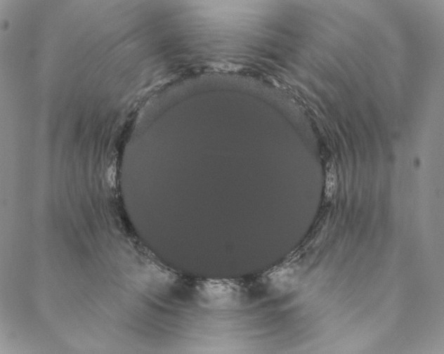 X0000088590608200706081329