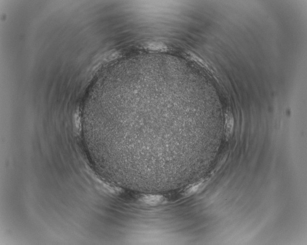 X0000088590609200706081329