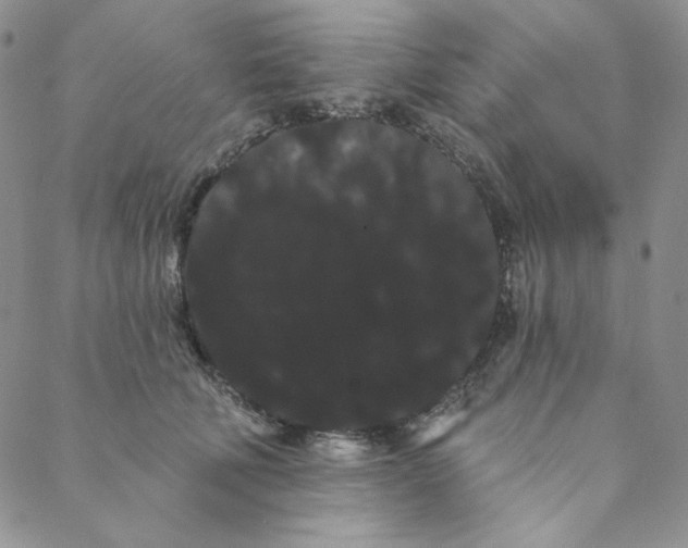 X0000088590610200706081329