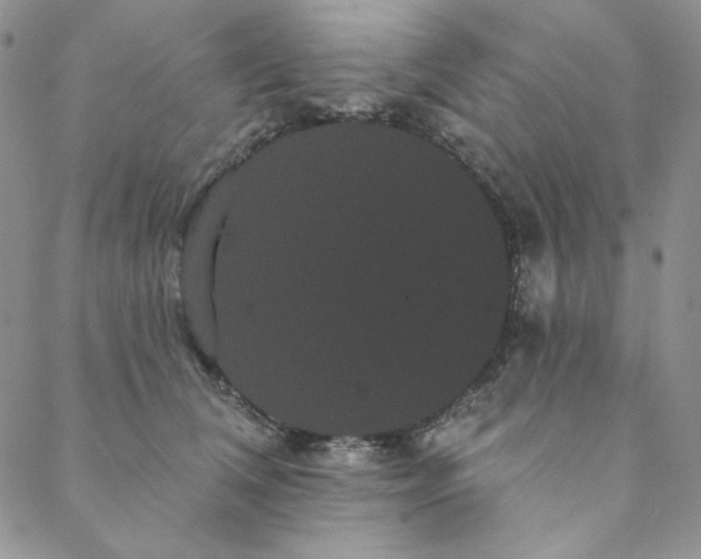 X0000088590612200706081329