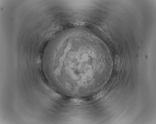 X0000088590614200706081329