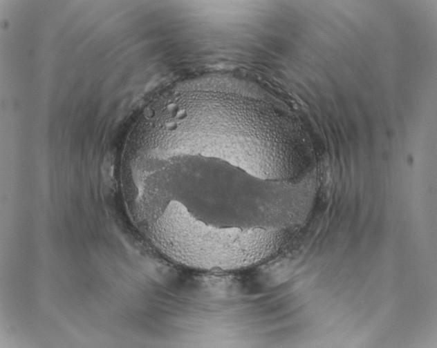 X0000088590615200706081329