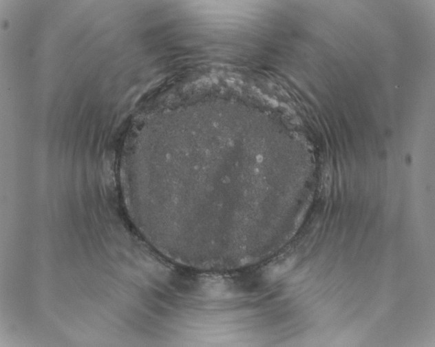 X0000088590616200706081329