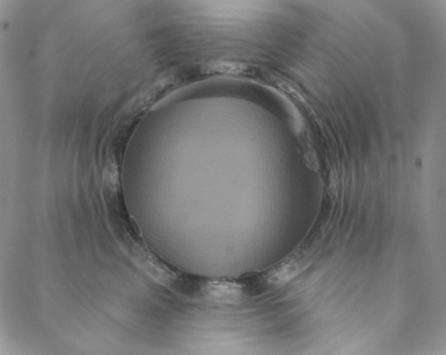 X0000088590617200706081329