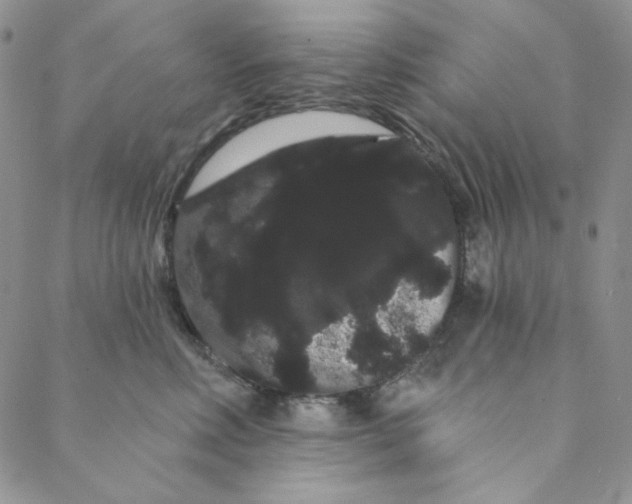 X0000088590618200706081329