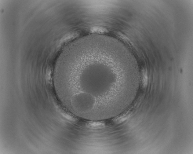 X0000088590619200706081329