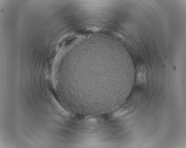 X0000088590620200706081329