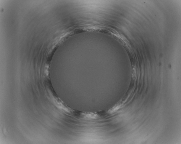 X0000088590621200706081329