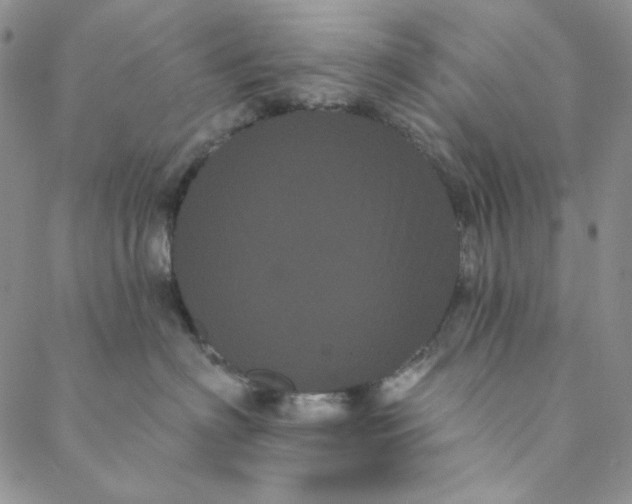 X0000088590622200706081329