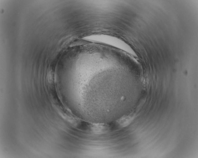 X0000088590623200706081329