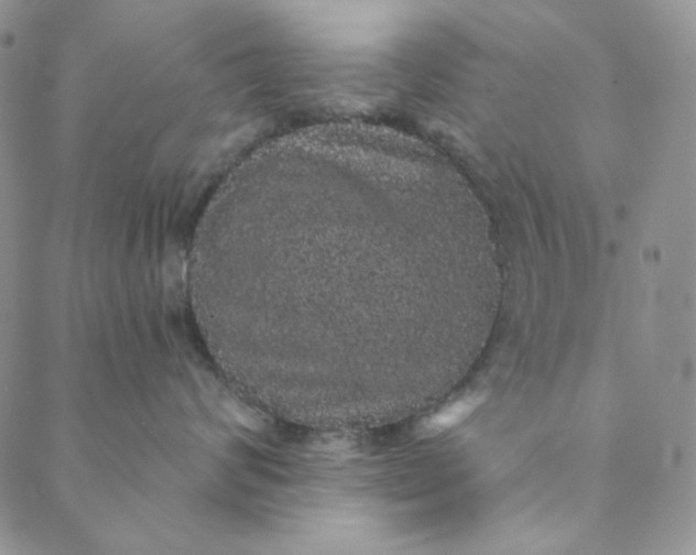 X0000088590624200706081329