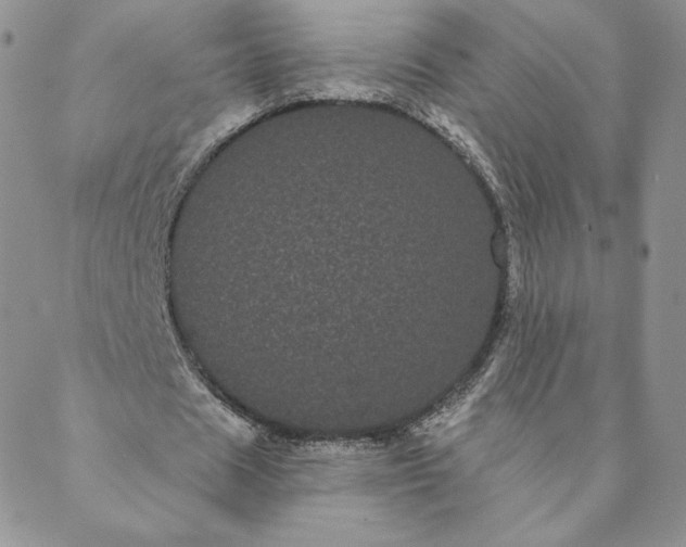 X0000088590625200706081328