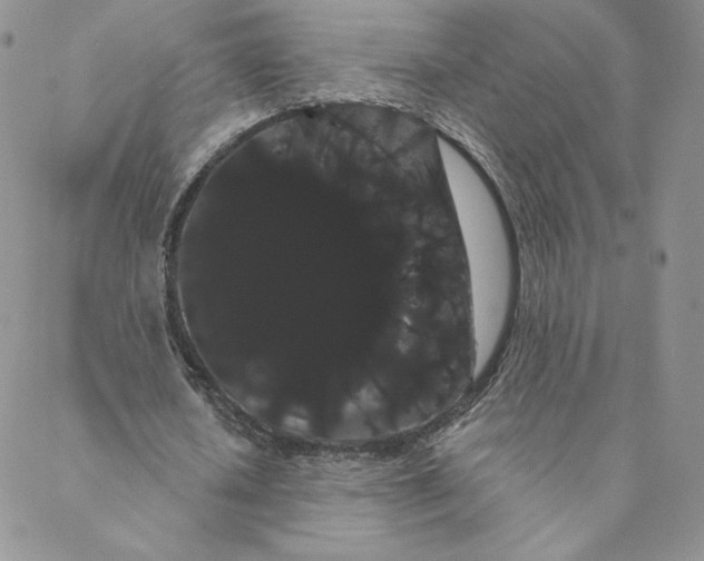 X0000088590626200706081328