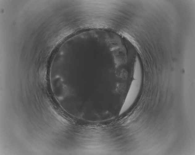 X0000088590627200706081328