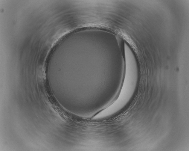 X0000088590628200706081328