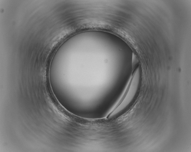 X0000088590629200706081328