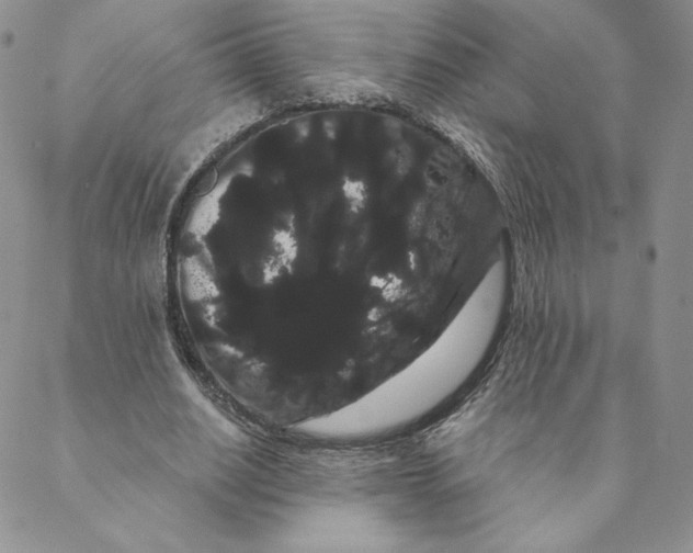 X0000088590630200706081328