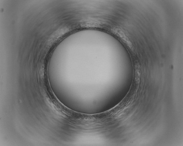 X0000088590631200706081328