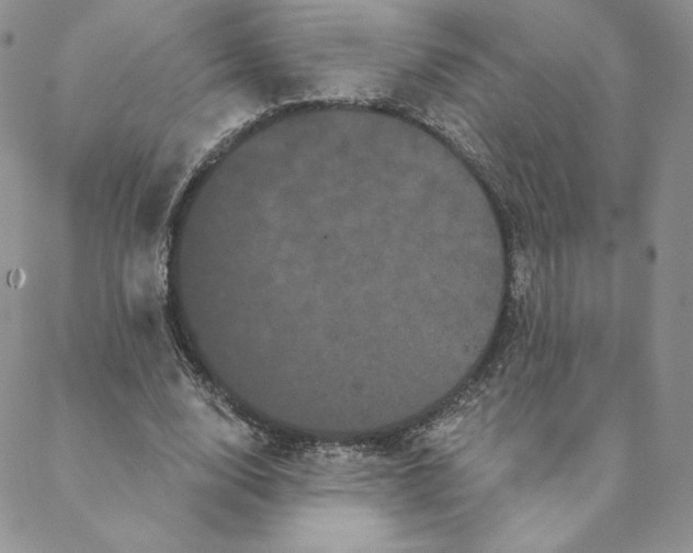 X0000088590632200706081329