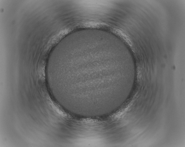 X0000088590633200706081329