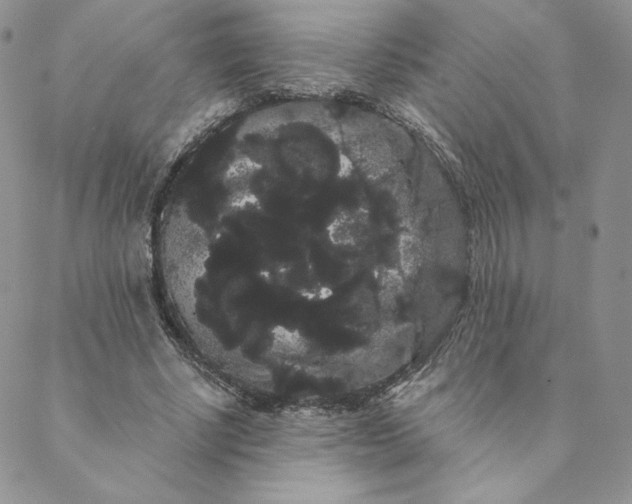 X0000088590634200706081329