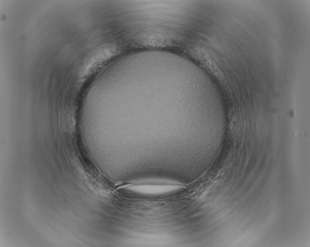 X0000088590635200706081329