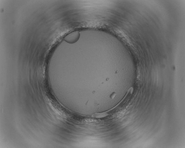 X0000088590636200706081329