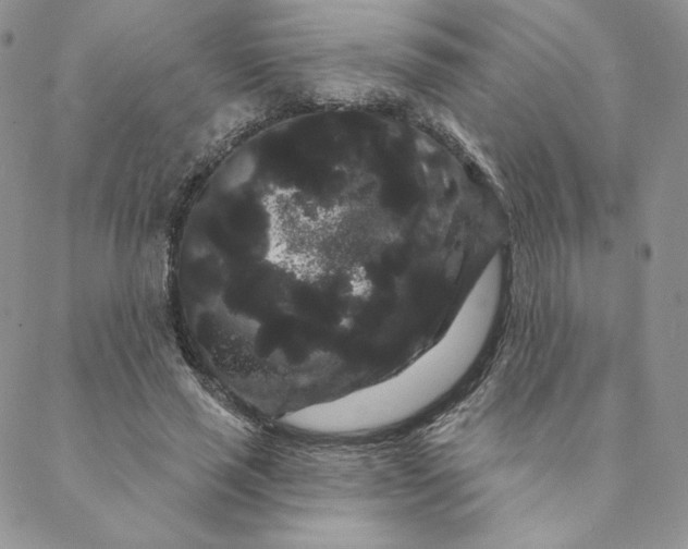 X0000088590637200706081329