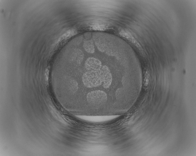 X0000088590639200706081329