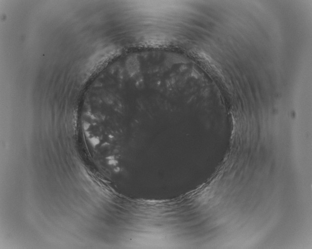 X0000088590640200706081329