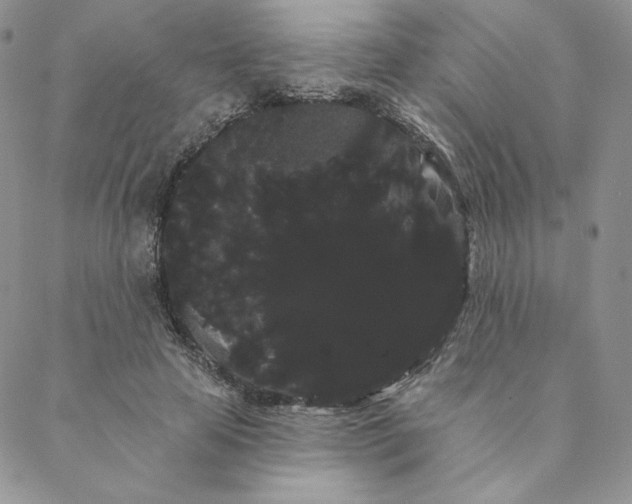 X0000088590641200706081329