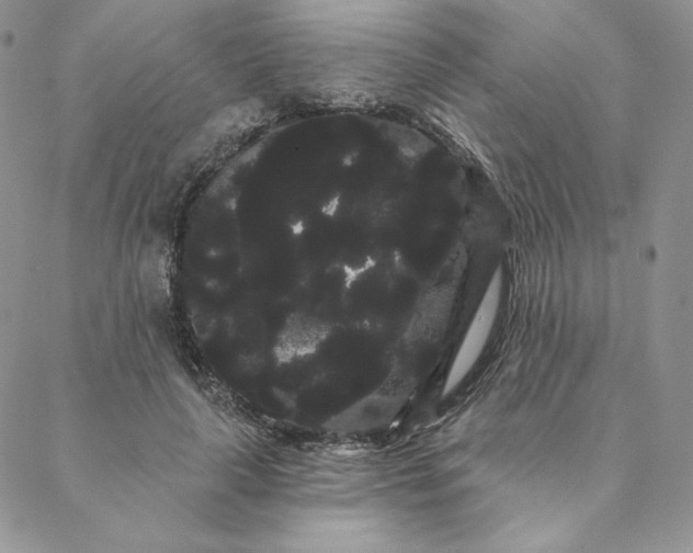 X0000088590643200706081329