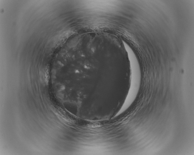 X0000088590644200706081329