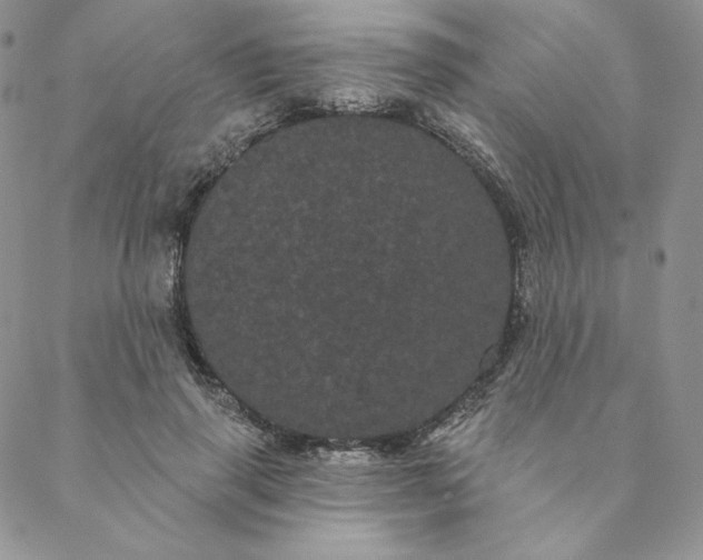 X0000088590645200706081329