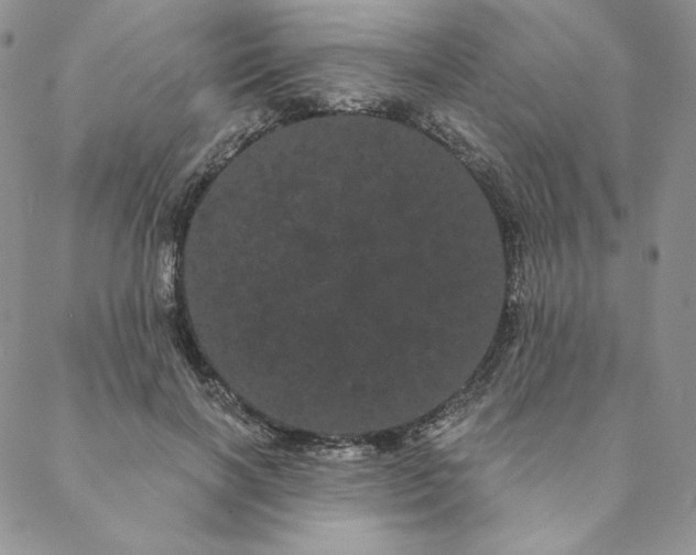 X0000088590646200706081329