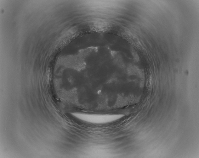 X0000088590647200706081329