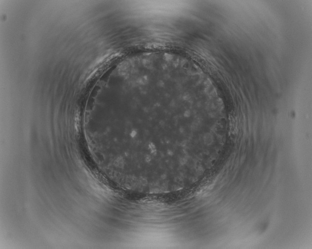 X0000088590648200706081329