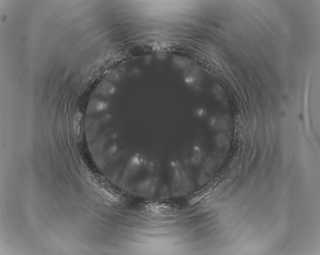 X0000088590650200706081329