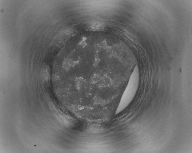 X0000088590651200706081329