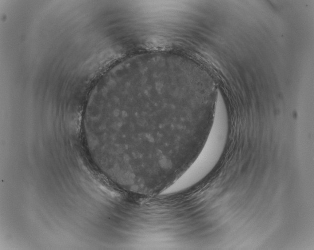 X0000088590652200706081329