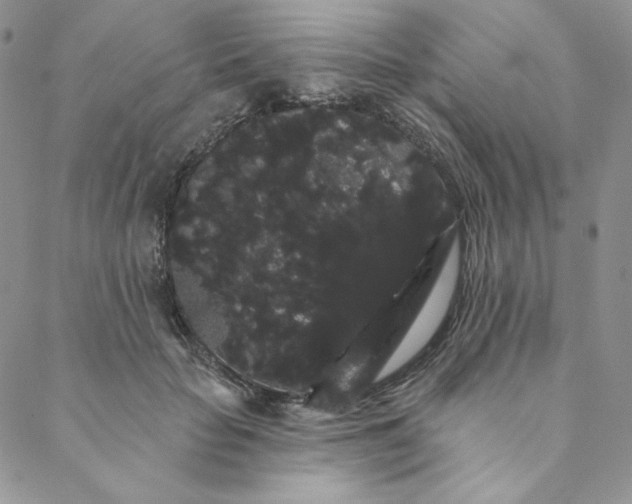 X0000088590653200706081329