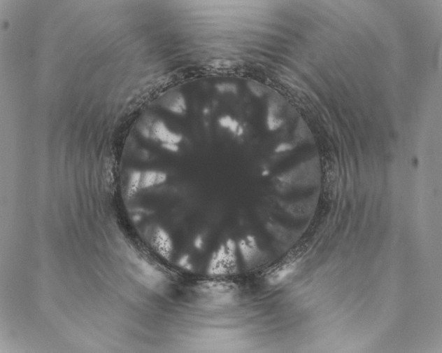 X0000088590654200706081329