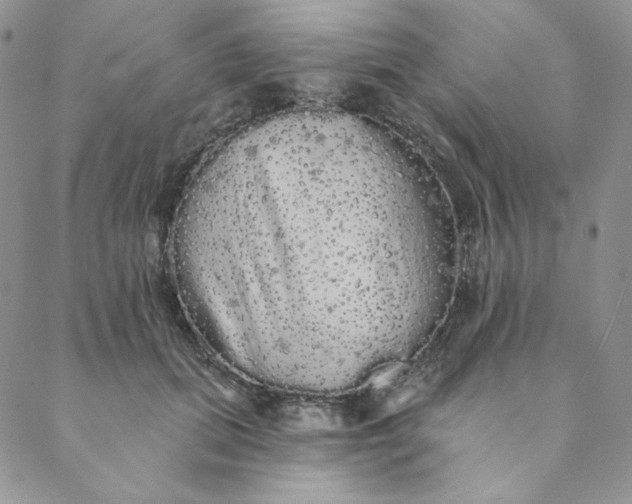 X0000088590655200706081329