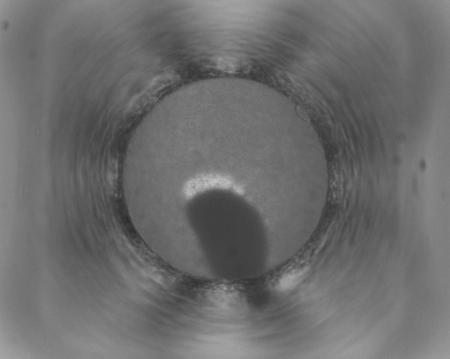 X0000088590656200706081329