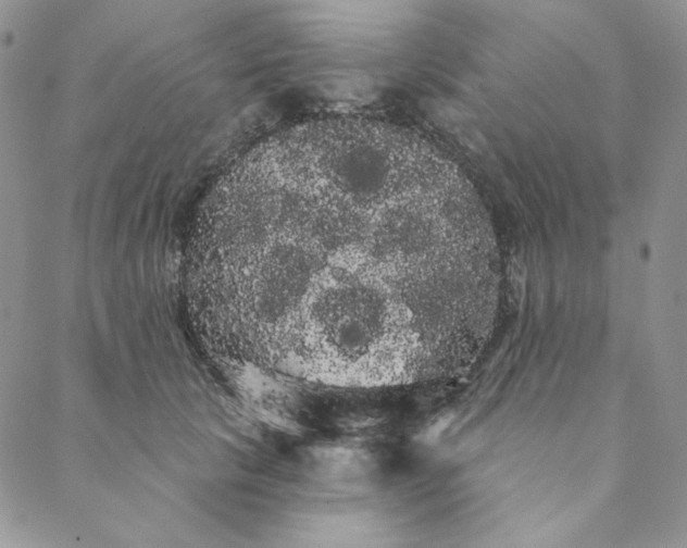 X0000088590657200706081329