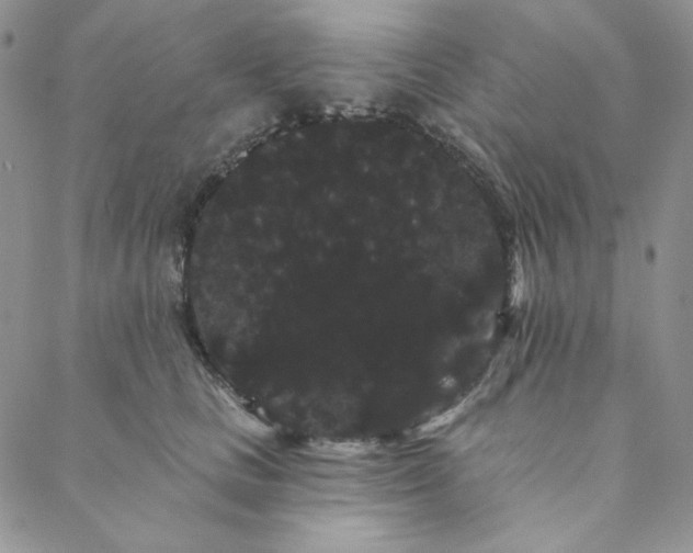 X0000088590661200706081329